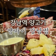 강남역 주말 예약 가능한 양고기 맛집 양파이 내돈내산 후기