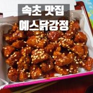 속초맛집 예스닭강정 본점 / 고속터미널 근처 먹거리