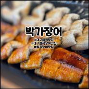 대구 칠곡 장어 맛집 박가장어 장어 점심특선 최고