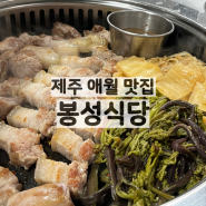 제주 제주시, 애월 흑돼지 백돼지 고사리 맛집 / 봉성식당 / 재방문후기