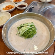 강남교자 종로점 광화문 만두 콩국수 맛집 직장인 점심 추천