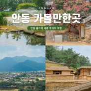 안동 볼거리 하회마을 부용대 안동민속촌 병산서원 외 안동 가볼만한곳 국내 뚜벅이 여행