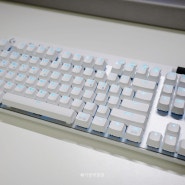 로지텍G PRO X TKL LIGHTSPEED 게이밍 키보드 사용기