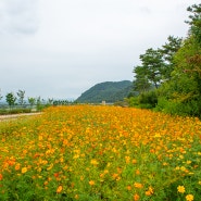 경북 예천 가볼만한곳 삼강주막 숲 캠핑장 추천