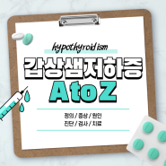 갑상선기능저하증 A to Z 【#원인 #약 #증상 #증세 #피검사 #치료 #예방 #체중증가 #추위 #피부 #잠 #빈혈 #우울증 #음식 #합병증 #T3 #갑상샘저하증】