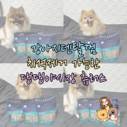 강아지덴탈껌은 치석제거 가능한 댕댕야시장 츄러스