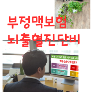 부정맥보험부터 뇌출혈진단비까지 모두 받자