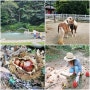 포천 서운동산 아이와 가볼만한곳 동물 먹이주기 밤줍기 체험 데이트