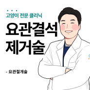 대구 24시 고양이 전문 동물병원 : 고양이 요관결석이란? 수술 및 치료는 어떻게 할까요??