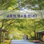 [불현듯 교토, 포토 워크숍 2일차] 교토의 명소를 만나다