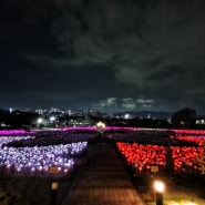 경주 야경 명소 빛누리정원 가볼만한 곳