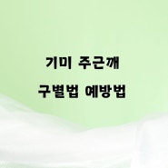 기미 주근깨 구별법 예방법