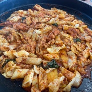 가평/자라섬 맛집 청운닭갈비막국수 후기!