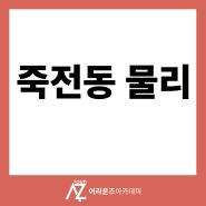 죽전동 물리 외국 의대를 목표로 하고 있다면