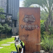 제주 고기국수 맛집 동선제면가, 애견동반 가능 식당