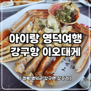 영덕 여행 아이랑 갈만한곳 강구대게길 강구항 현지인 맛집 이오대게