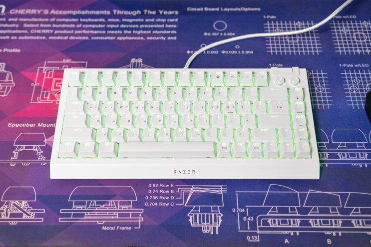 기능과 타건감을 갖춘 게이밍 키보드 레이저 블랙위도우 Razer BlackWidow v4 75% 화이트 오렌지 스위치 : 네이버 블로그