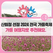 산림청 선정 2024 전국 가을 축제 추천! 가을 여행지로 어디가 좋을까? (feat. 9,10월 가볼 만한 곳)