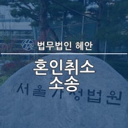 혼인취소소송 사유 언제 가능할지 조언 핵심은