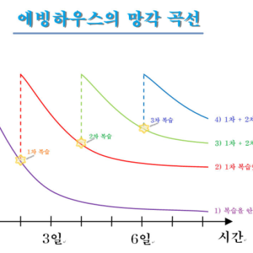 에빙하우스의 망각 곡선과 복습의 중요성 RSS 대표 이미지