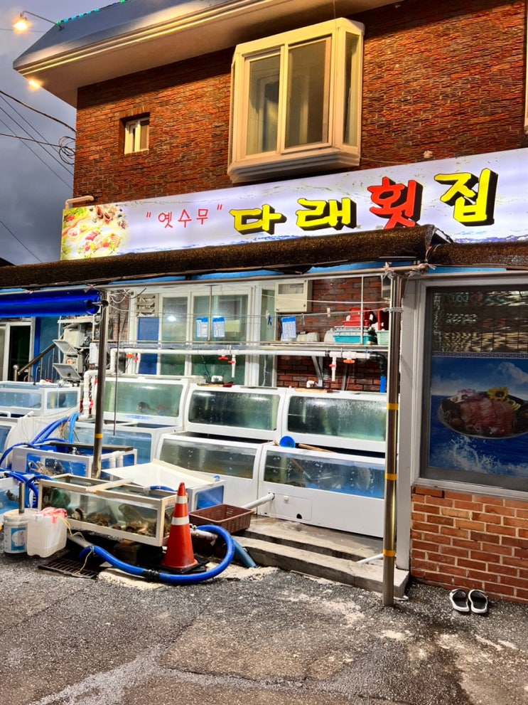양양 다래횟집 : 네이버 블로그