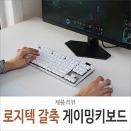 로지텍G PRO X TKL LIGHTSPEED 무선 게이밍 키보드 사용기