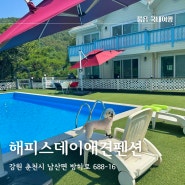 가평 근처 애견펜션 해피스데이 가을에도 즐기는 온수 수영장 독채숙소