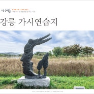 강원도 강릉 가볼만한곳 혼자 강릉 여행 코스