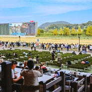 9월초 가볼만한곳, 이색 스포츠를 즐길 수 있는 렛츠런파크 서울