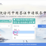 중국여행준비 / 중국 비자 발급 방법 / 셀프 중국 단수 관광비자 신청