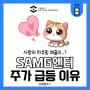 SAMG엔터 하츄핑 매출 주식 급등한 이유