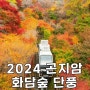 국내 가을 여행지 2024 곤지암 화담숲 단풍 시기 모노레일 예약 시간 명소 여행