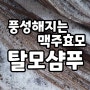 가성비 좋은 와이즐리 맥주효모 탈모 샴푸 4주 사용후기 내돈내산