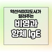 총정리 3편 - 비염과 항체 IgE