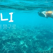 Vlog. Bali canggu 브이로그 발리 짱구