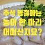 명절 음식 지겨울 때 여름 제철 농어 회로 살짝 쉬어 가세요.