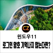 윈도우11 로그인 암호 기억나지 않는다면? 해결 방법 두 가지