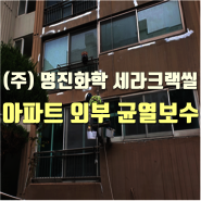 대전 서구 샛별아파트 외부 균열보수 및 재도장공사(세라크랙씰)