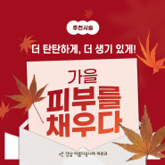 [9,10월 추천시술] 더 탄탄하게, 더 생기 있게! 가을 피부를 채우다 #써마지 #울쎄라 #덴서티 #소프웨이브 #리쥬란HB #피부시술