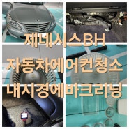 대구카에어컨크리닉 에어컨악취제거 구형제네시스BH