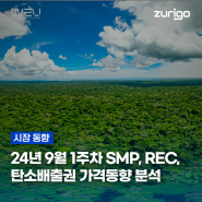 24년 9월 1주차 SMP, REC, 탄소배출권 가격동향 분석