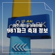 제주 981파크 카트 서바이벌 981데이 정보