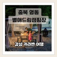 [충북 영동 별애드림 캠핑장] 키즈 수영장이 있는 감성 카라반 아이와 여행