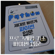 파이썬 프로그래밍의 기초부터 실전까지 파이썬 입문 추천 도서