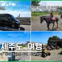 제주 쏠라티 투어 제주쏠라티렌트 제주도 미니버스 자유여행