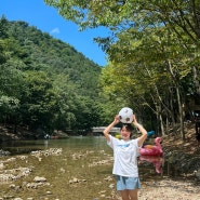 스페셜 포토덤프 02 ; 완주 고산 자연휴양림 계곡에서 물놀이하고 삼계탕먹기