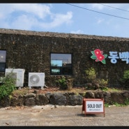 제주 뽀로로테마파크 맛집 동백국수 서귀포점