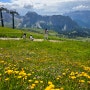 이탈리아 돌로미티 여행 - 라시에자 Rasciesa, 세체다 Seceda, 알페디시우시 Alpe di Siusi 한번 더 가기..(1타 3피)