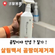 벽지 곰팡이 제거제 살림백서 뿌리는 곰팡이 백서 욕실청소 팁