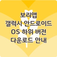 [공지] 보리앱 갤럭시 안드로이드 OS 하위 버전 다운로드 안내